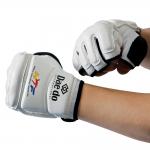 Daedo TKD Gloves